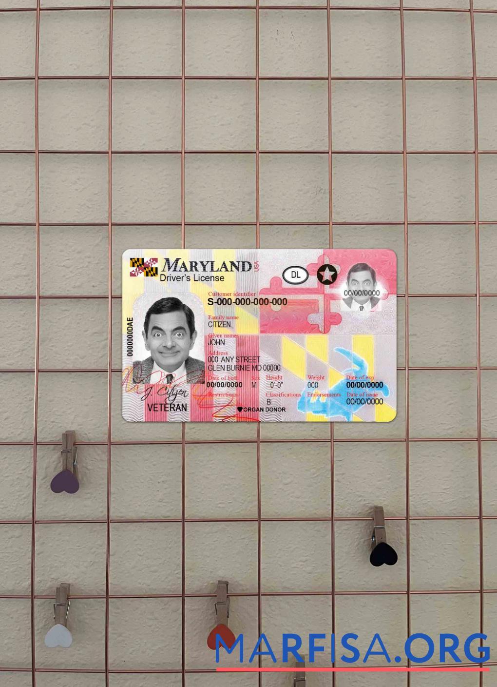 Downloadable USA Maryland DL 2016 present photolook sample